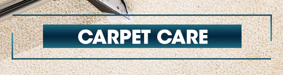 Carpet Care